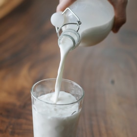молоко и молочные продукты
