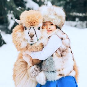 Зимняя сказка